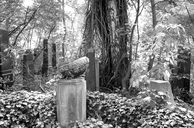 jüdischer friedhof berlin weissensee jewish cemetery cimetière juif passé décomposé bethhahayim sepulcra judaica